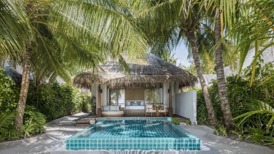 palm trees and plunge pool in front of beach cabin at Huvanfen Fushi by BLINK