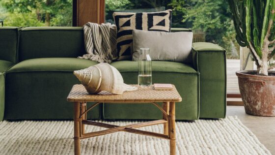 moss green couch with plants in the background and textured natural carpet on the floor