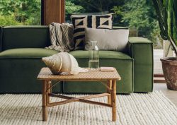 moss green couch with plants in the background and textured natural carpet on the floor