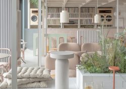 white and cream contemporary interior with blond wood and plants and soft seating on the floor