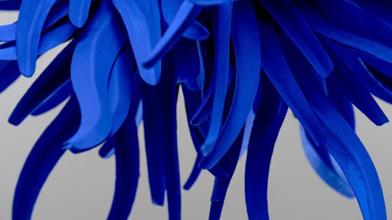 hand painted dark blue light detail of Urchin chandelier from Porto Romana