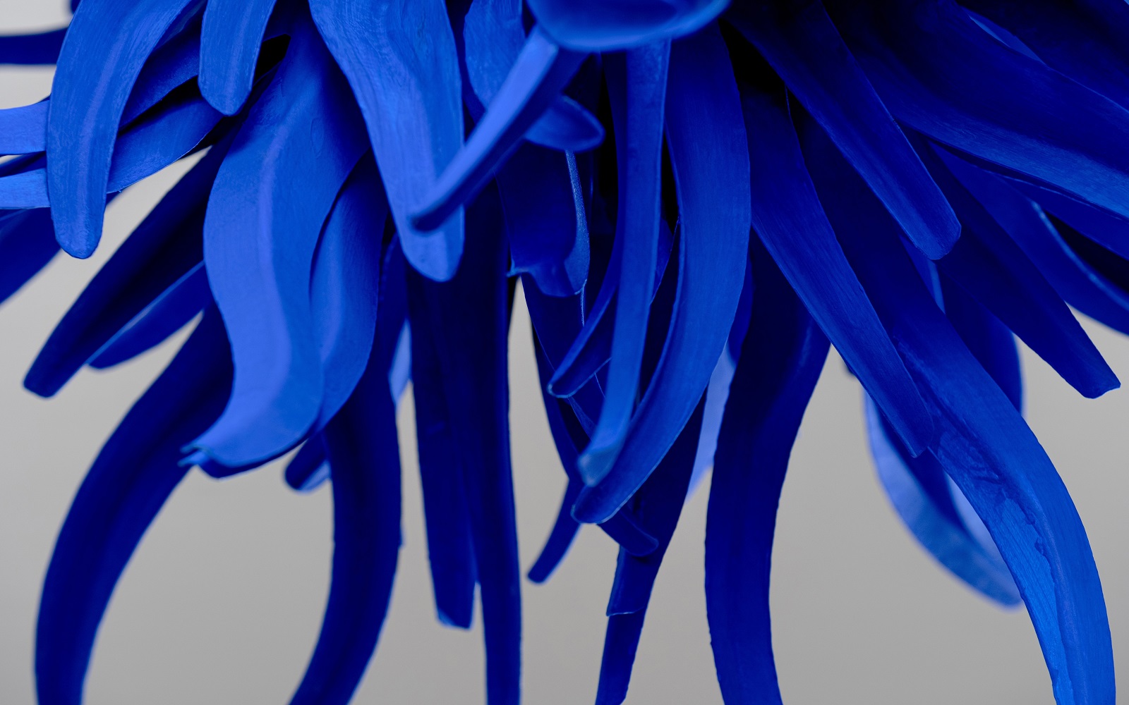 hand painted dark blue light detail of Urchin chandelier from Porto Romana